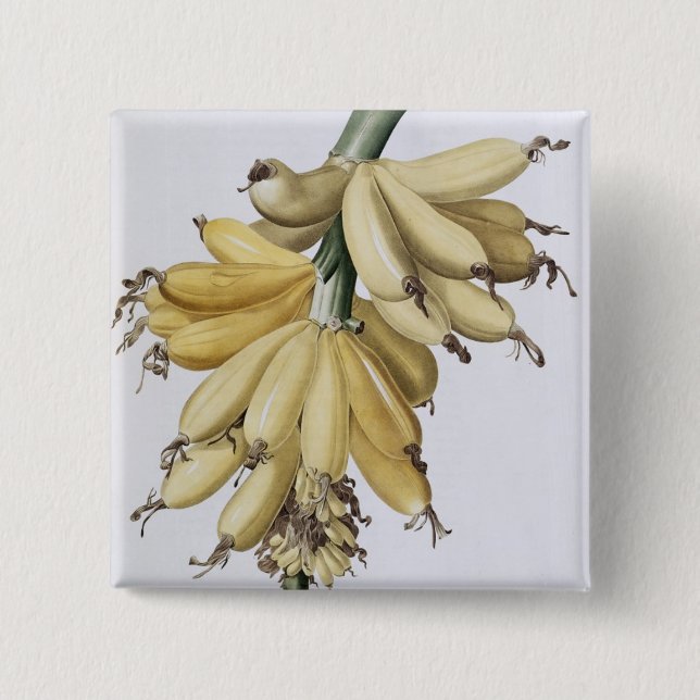 Banana, 1816 2 inch square button (Front)