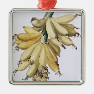 Banana, 1816 metal ornament