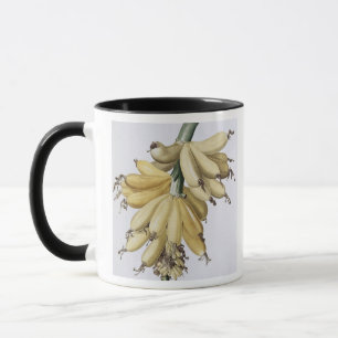 Banana, 1816 mug