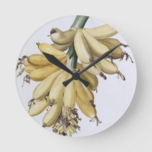 Banana, 1816 round clock