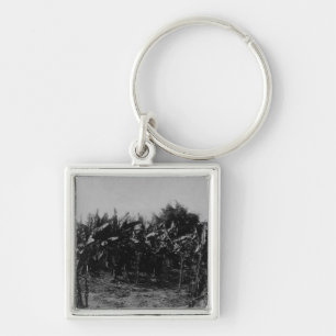 Banana Cultivation, Trinidad, c.1891 Keychain