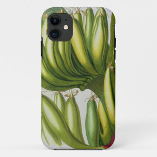 Banana, engraved by Johann Jakob Haid (1704-67) pl iPhone 11 Case