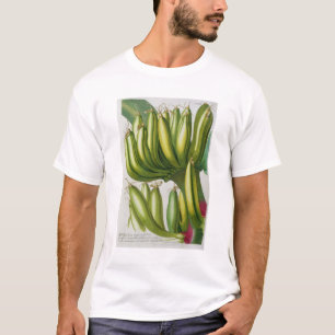 Banana, engraved by Johann Jakob Haid (1704-67) pl T-Shirt