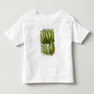 Banana, engraved by Johann Jakob Haid (1704-67) pl Toddler T-shirt