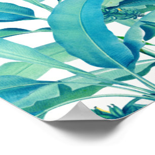 Banana Forest Poster