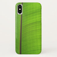Banana Leaf Close-Up