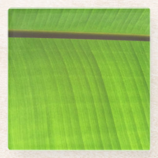 Banana Leaf Close-Up Glass Coaster
