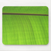 Banana Leaf Close-Up