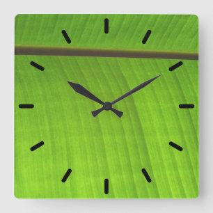 Banana Leaf Close-Up Square Wall Clock