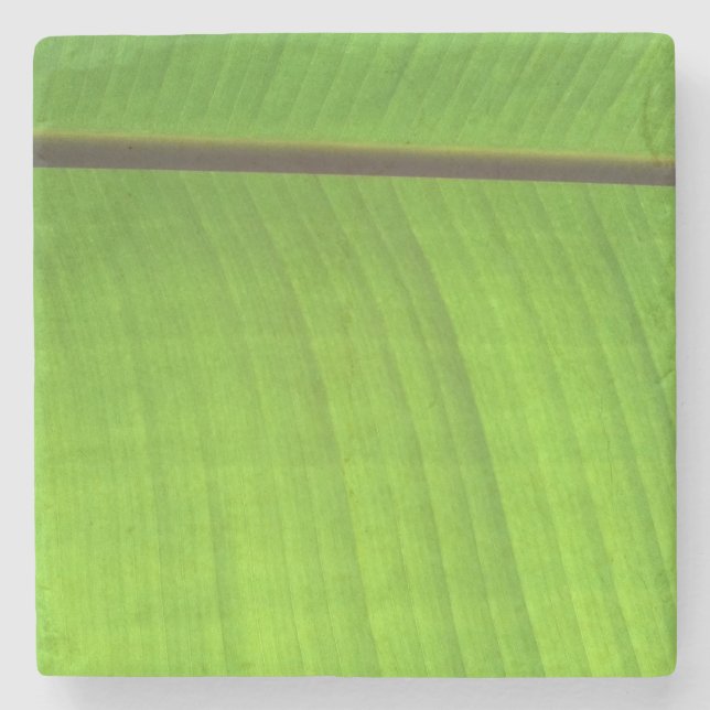 Banana Leaf Close-Up Stone Coaster (Front)