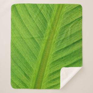 Banana leaf leaf banana fibers sherpa blanket