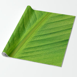 Banana leaf leaf banana fibres wrapping paper