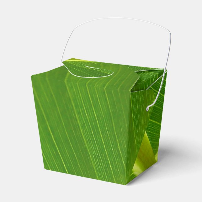 Banana Leaf Macro Favor Box (Front Side)