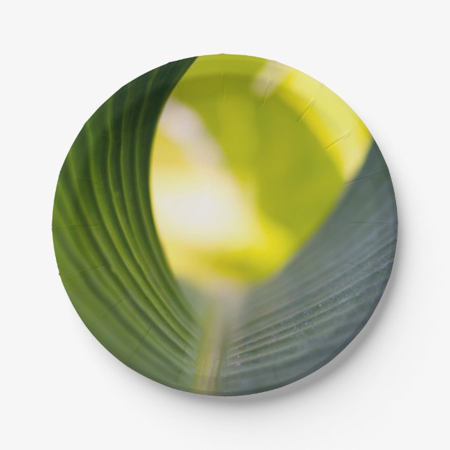 Banana Leaf Paper Plate (Front)