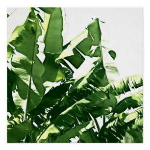Banana Leaves Green Monochromatic Painting Poster