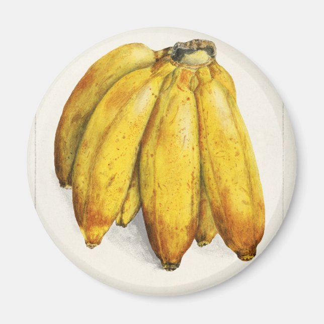 Banana Magnet (Front)