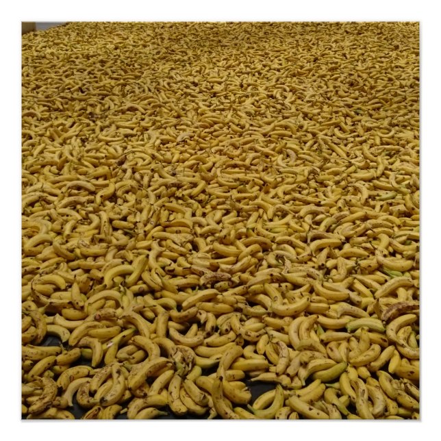 Banana Republic  20" x 20",Poster Paper,Semi-Gloss Poster (Front)