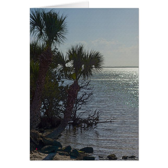 Banana River Palm Trees Painterly (Front)