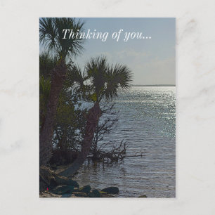 Banana River Palm Trees Painterly Postcard