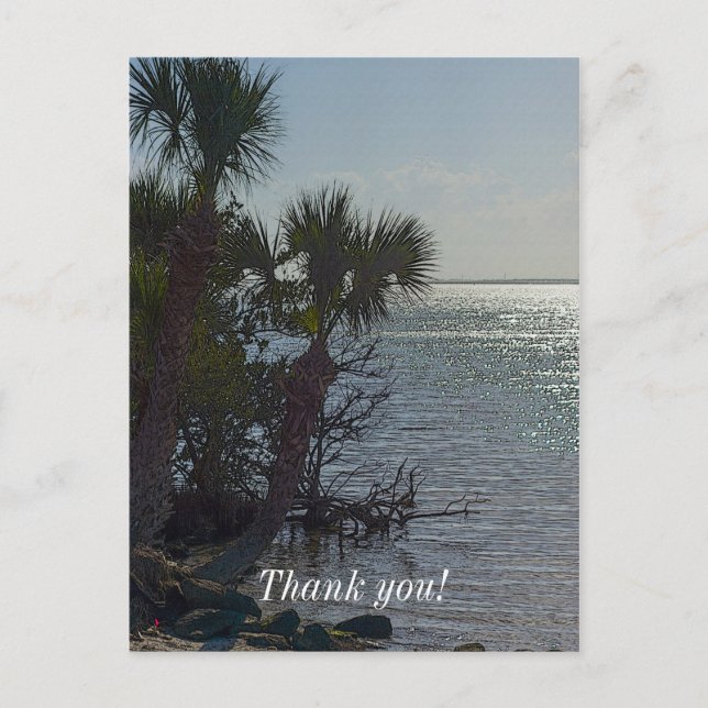 Banana River Palm Trees Painterly Postcard (Front)