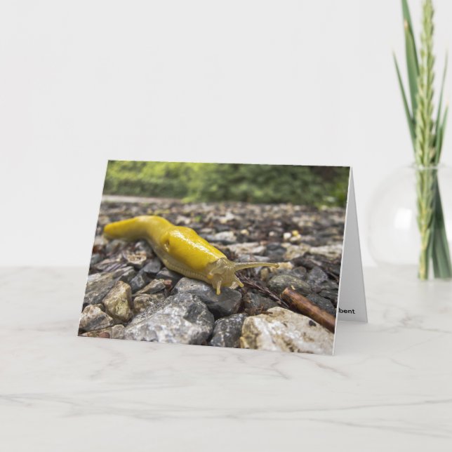 Banana Slug Note Card (Front)