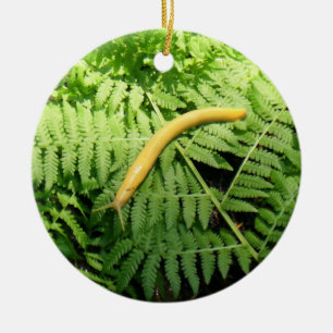 Banana Slug on Ferns I Ceramic Ornament