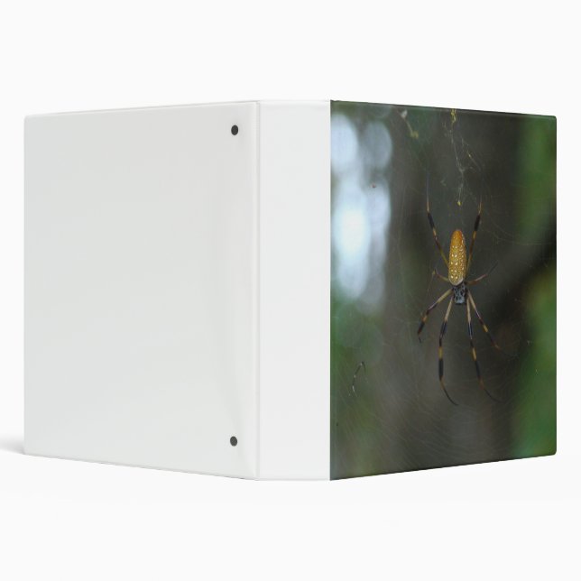 Banana Spider Binder (Background)
