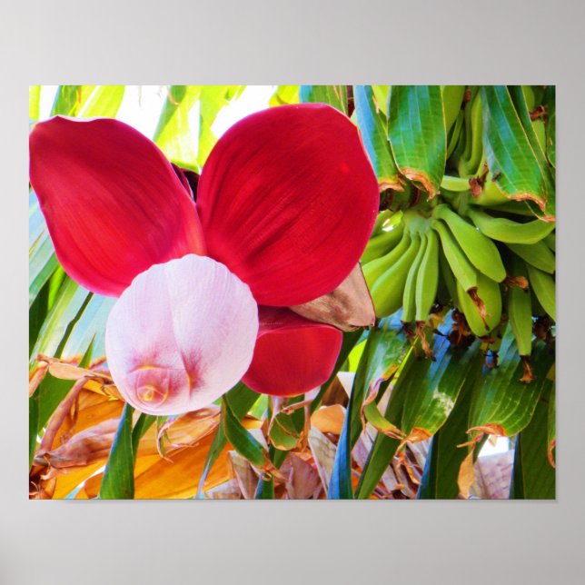 Banana Tree Bliss Poster (Front)