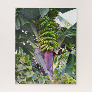 Banana tree in Madeira Jigsaw Puzzle