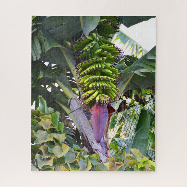 Banana tree in Madeira Jigsaw Puzzle (Vertical)