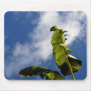Banana Tree Leaves Mouse Pad