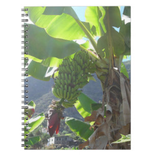 Banana Tree with Flower Notebook
