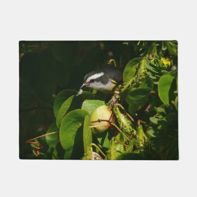 Bananaquit Bird Eating Tropical Photography Doormat (Front)