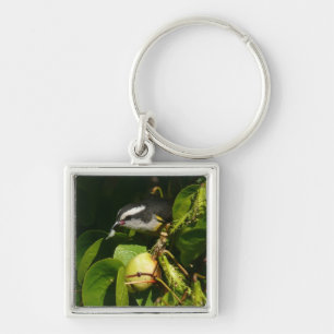 Bananaquit Bird Eating Tropical Photography Keychain