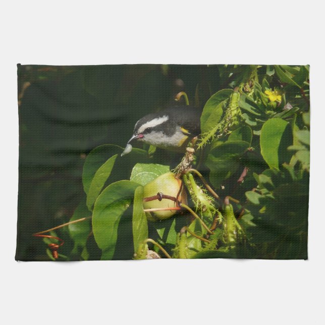 Bananaquit Bird Eating Tropical Photography Kitchen Towel (Horizontal)