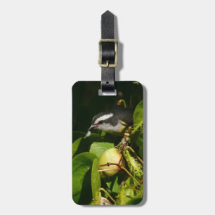 Bananaquit Bird Eating Tropical Photography Luggage Tag