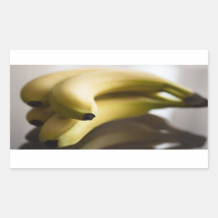 Bananas Sticker