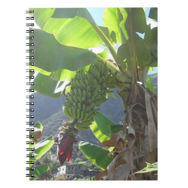 Bananier avec Carnet à fleurs (Devant)