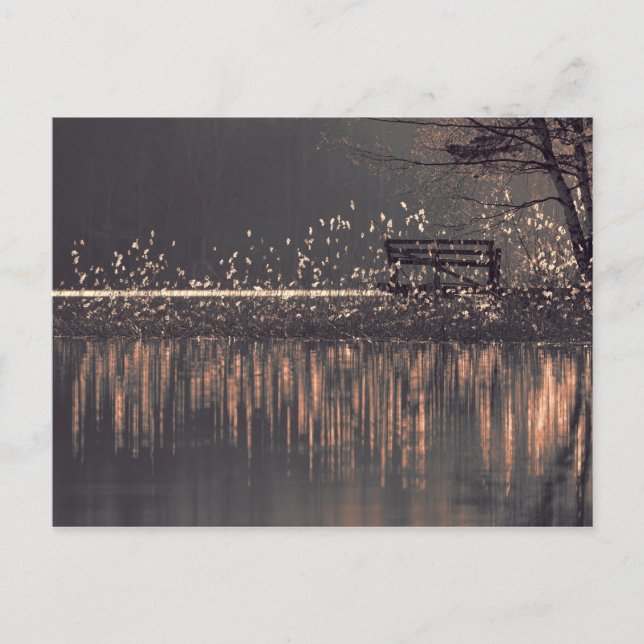 Banc au bord du lac dans la carte postale de lumiè (Devant)