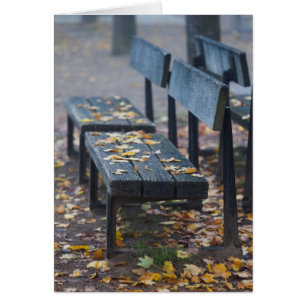Banc de parc brumeux matin, Allemagne