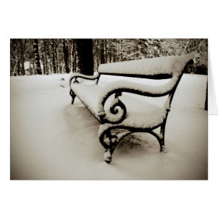 Banc du parc