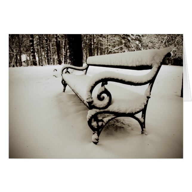 Banc du parc (Devant horizontal)