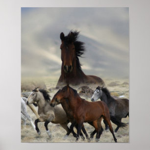 Band Of One Poster