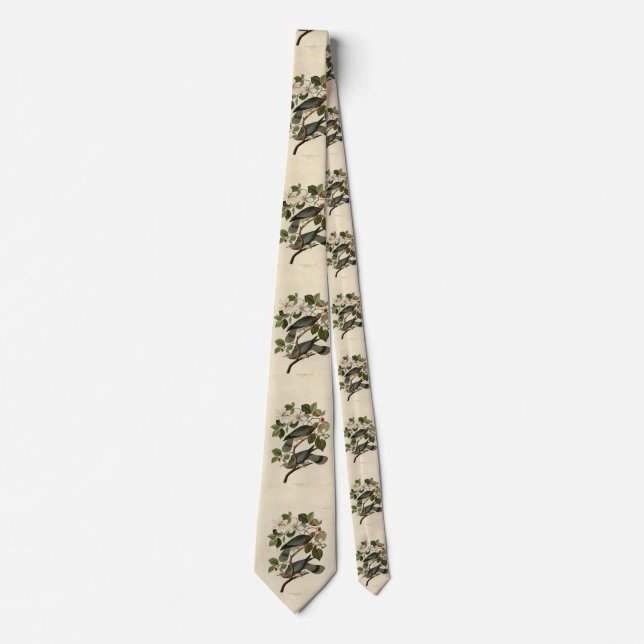 Band-tailed Pigeon - Audubon's Birds of America  Tie (Front)