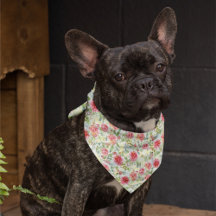 Botanique florale d'aquarelle moderne