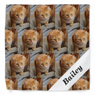 Vetements Accessoires Pour Animaux De Compagnie Zazzle Ca