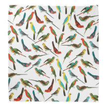 Cool coloré oiseaux d'aquarelle tropicale motif