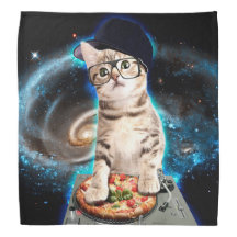 dj cat - space cat - chat pizza - chats mignons