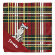 Jour de Noël du chien de Boston Terrier Plaid