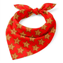 motif Cool étoile doux XmaS